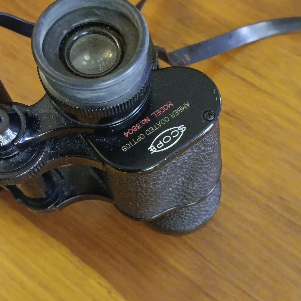 Black Binoculars